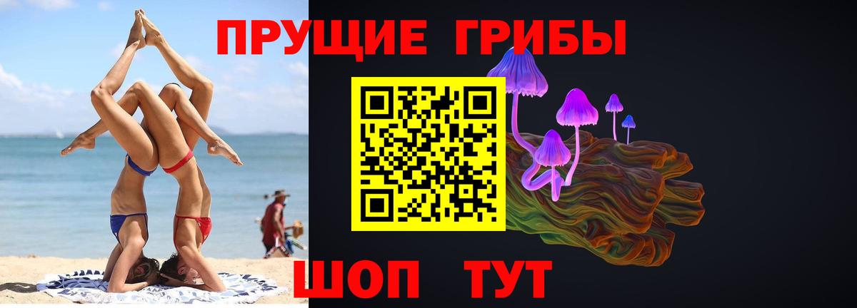 Псилоцибиновые грибы Cubensis Канаш