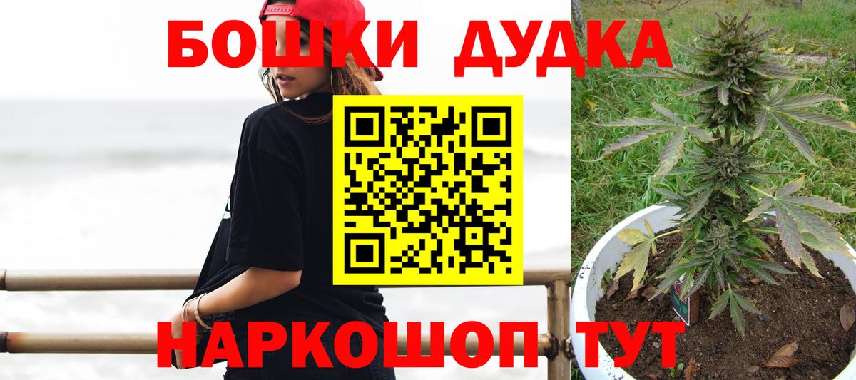 Конопля конопля Канаш